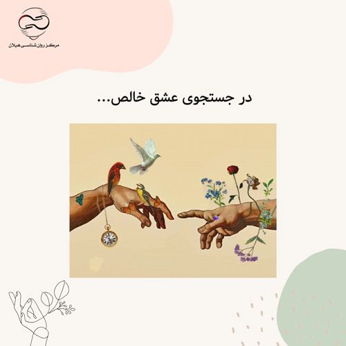 در جستجوی عشق خالص...